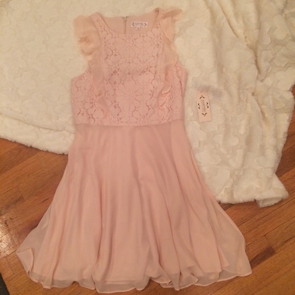 NWT Nanette Lepore Pale Pink Fit and Flare - Picture 4 of 5
